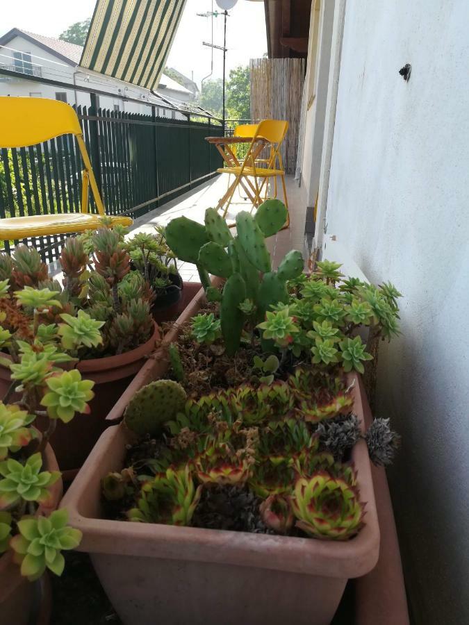 Blanche Apartman Agerola Kültér fotó